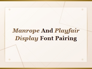 Manrope and Playfair Display Font Pairing for Elegant Branding